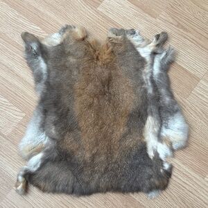 #A6 rabbit pelt